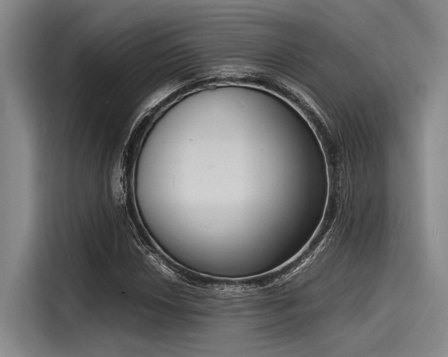 X0000116141018200911301516