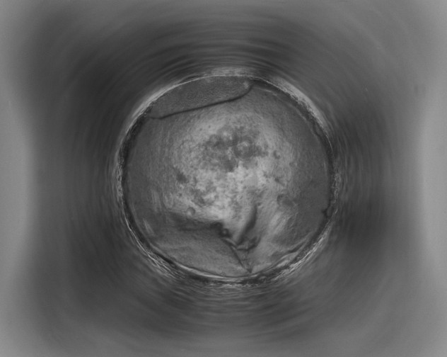 X0000116141019200911301516