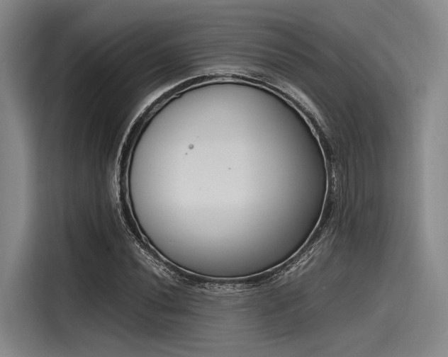 X0000116141020200911301516