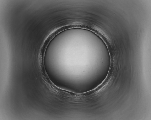 X0000116141021200911301516