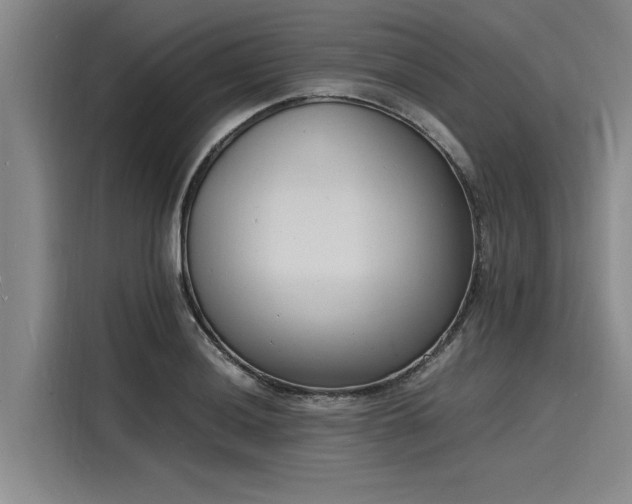 X0000116141036200911301516
