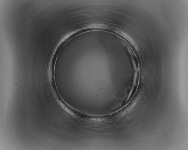 X0000116141037200911301516