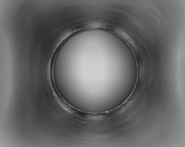 X0000116141039200911301517