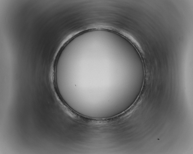 X0000116141040200911301517
