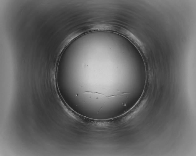X0000116141041200911301517