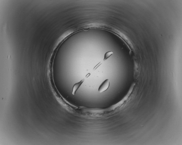 X0000116141042200911301517