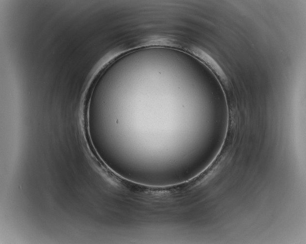 X0000116141043200911301517