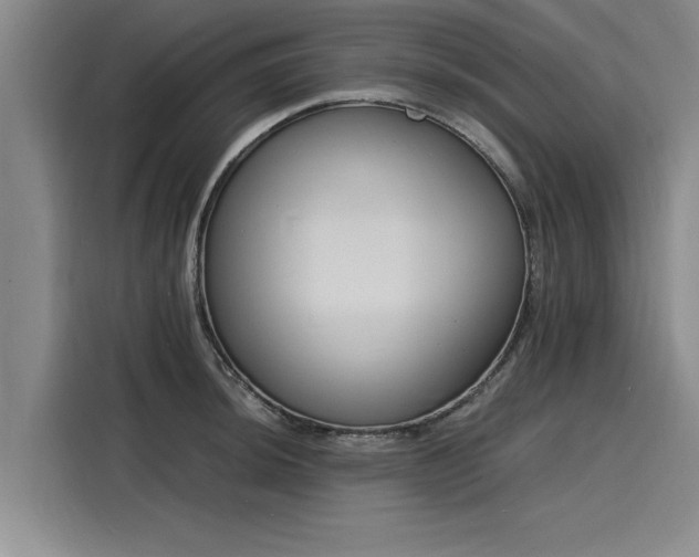 X0000116141044200911301517
