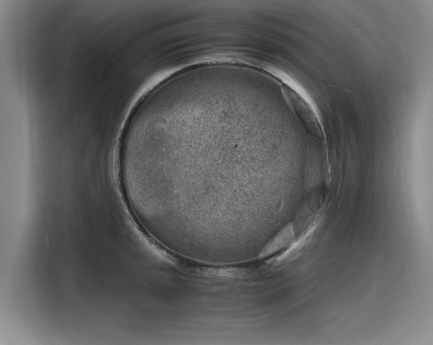 X0000116141045200911301517