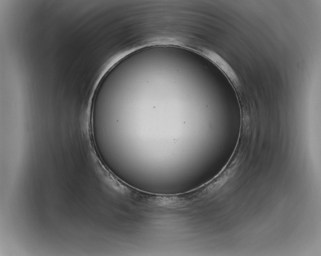X0000116141052200911301517