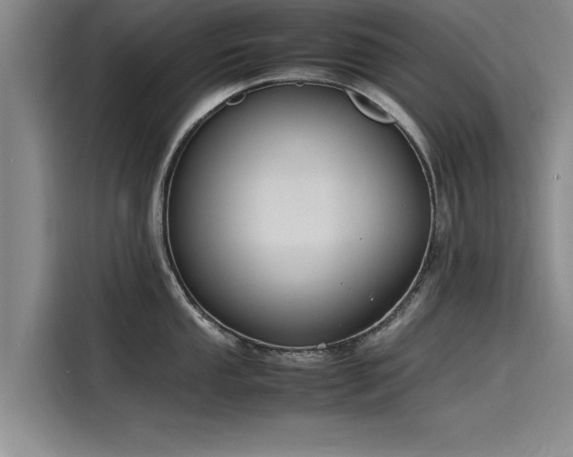 X0000116141053200911301517