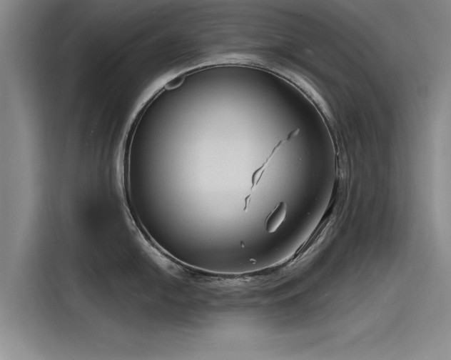 X0000116141054200911301517