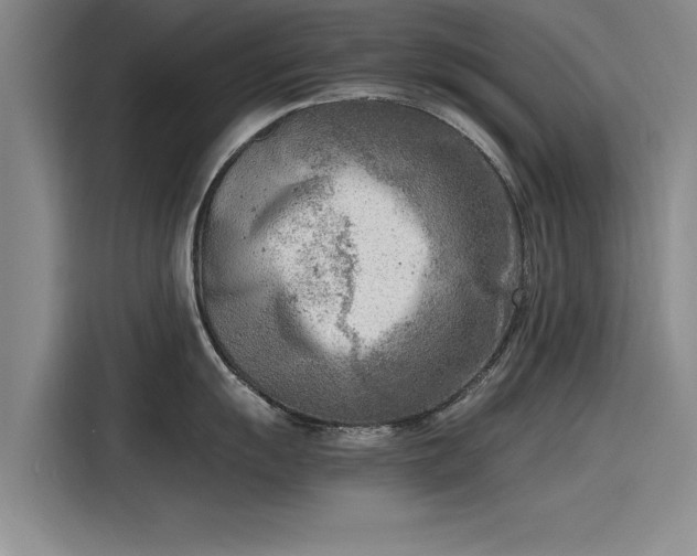 X0000116141055200911301517
