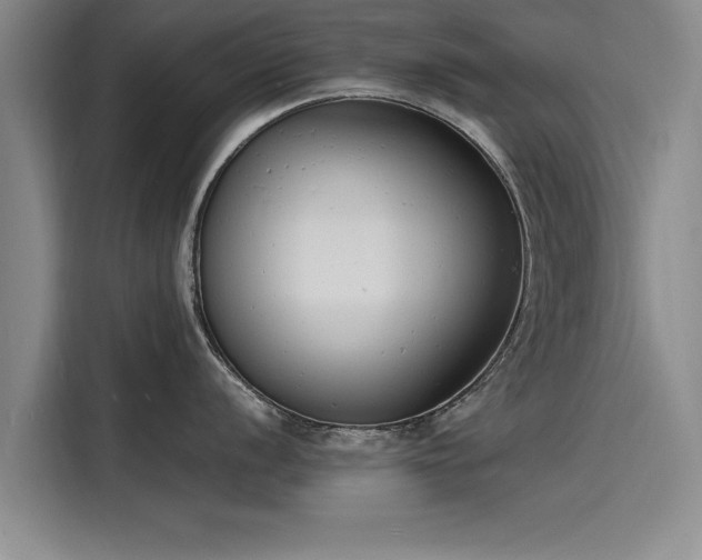 X0000116141056200911301517
