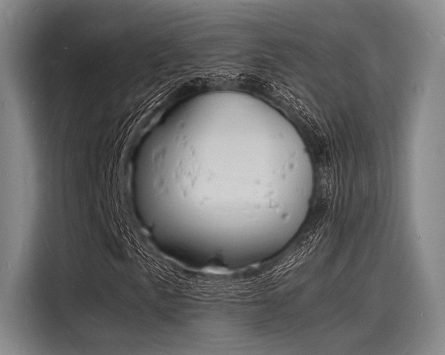 X0000116141057200911301516