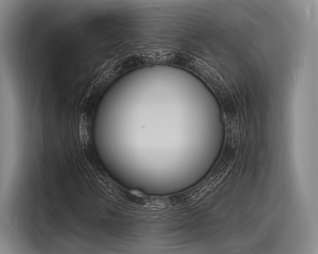 X0000116141058200911301516