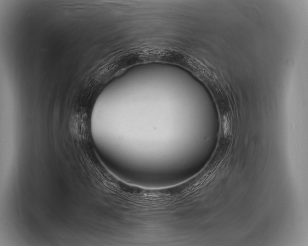X0000116141059200911301516