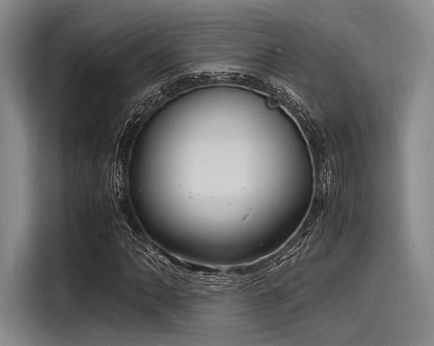 X0000116141062200911301516
