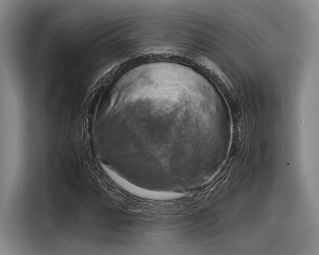 X0000116141064200911301516