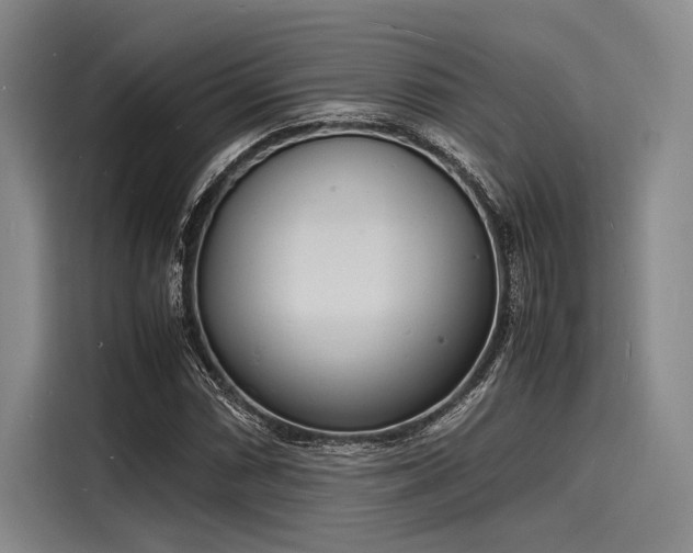 X0000116141066200911301516