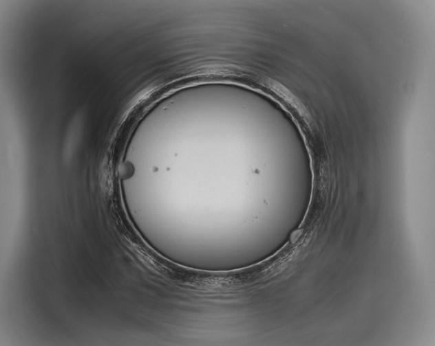 X0000116141067200911301516