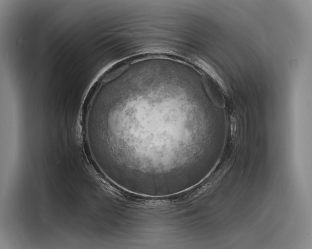 X0000116141068200911301516