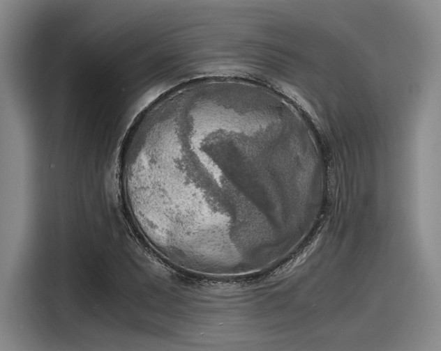 X0000116141071200911301516