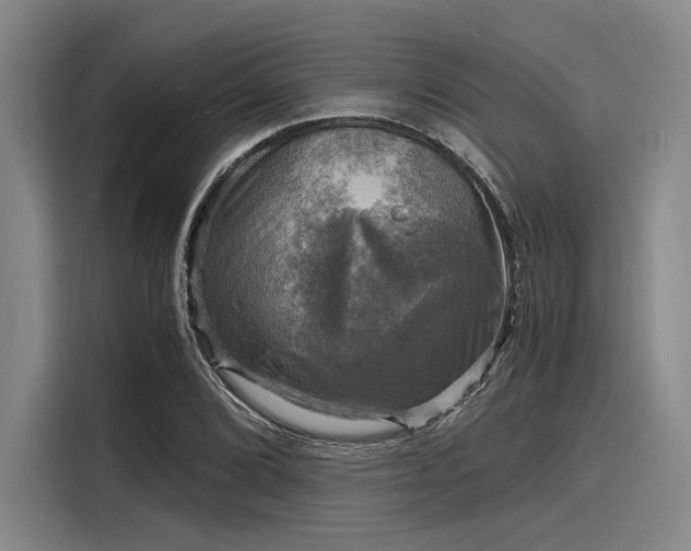 X0000116141072200911301516