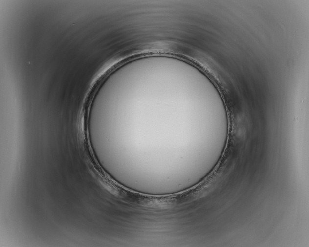 X0000116141078200911301516