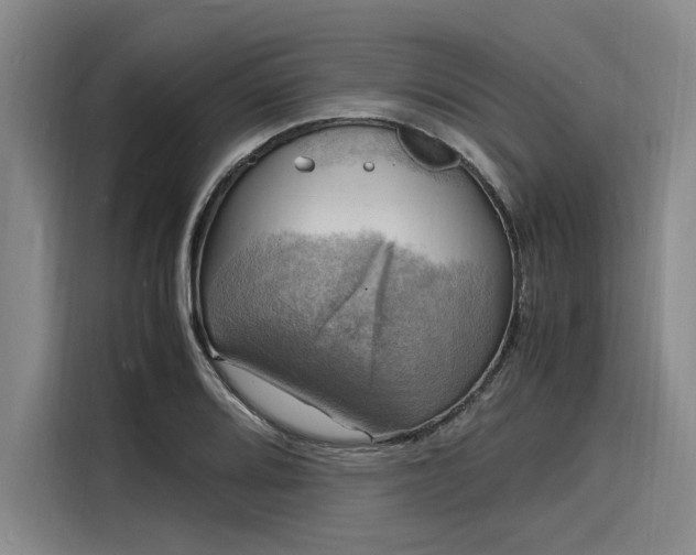 X0000116141080200911301516