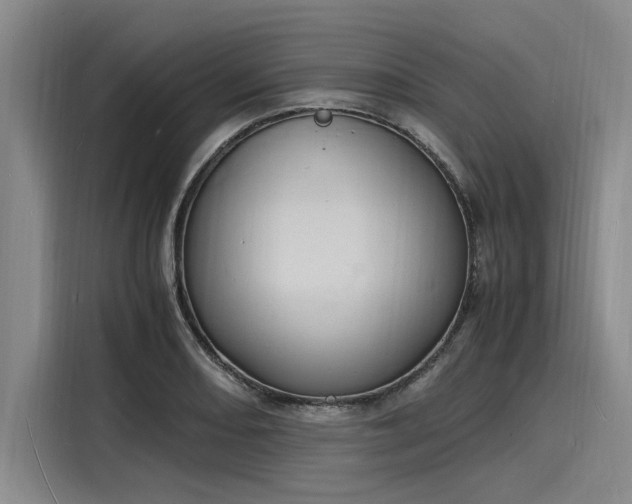 X0000116141082200911301516