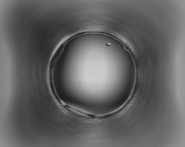 X0000116141085200911301516