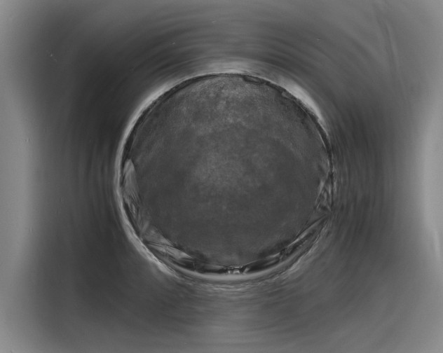 X0000116141088200911301516