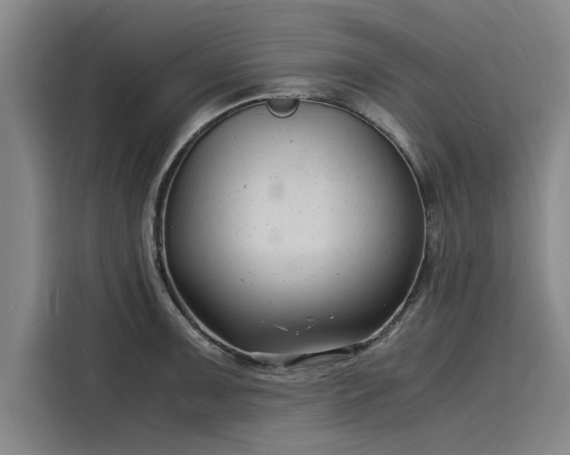 X0000116141091200911301516