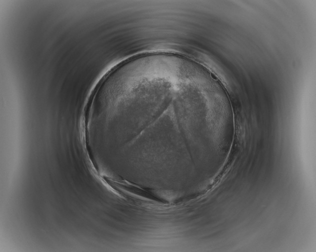 X0000116141092200911301516