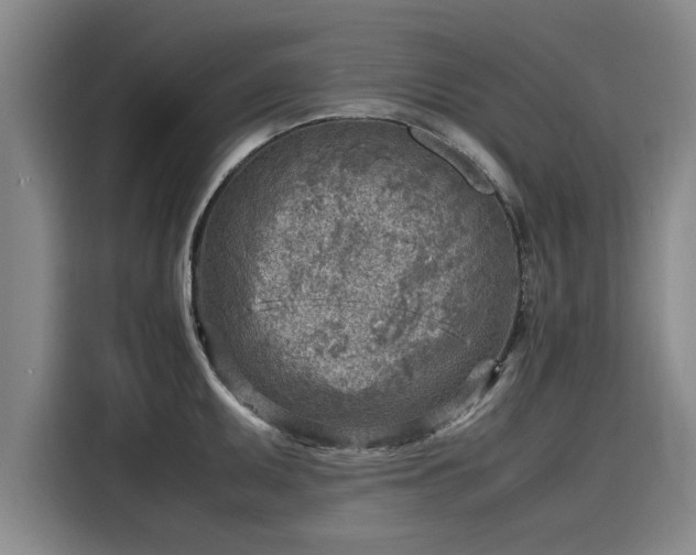 X0000116141095200911301516