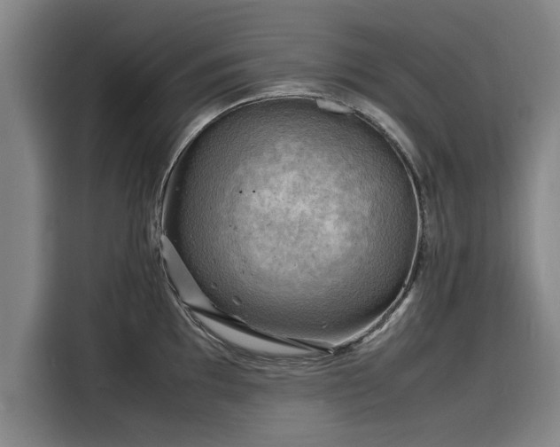 X0000116141097200911301516
