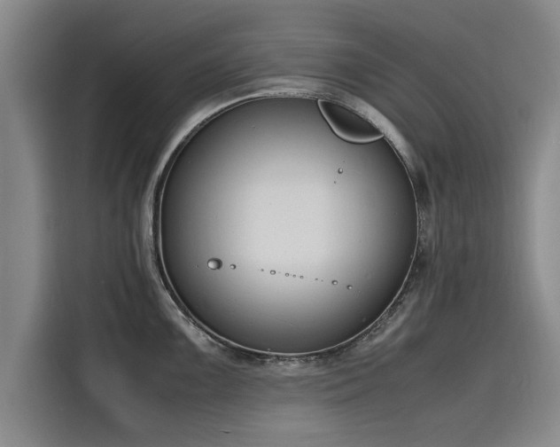 X0000116141099200911301516