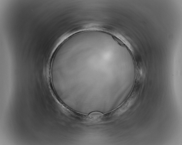 X0000116141101200911301516