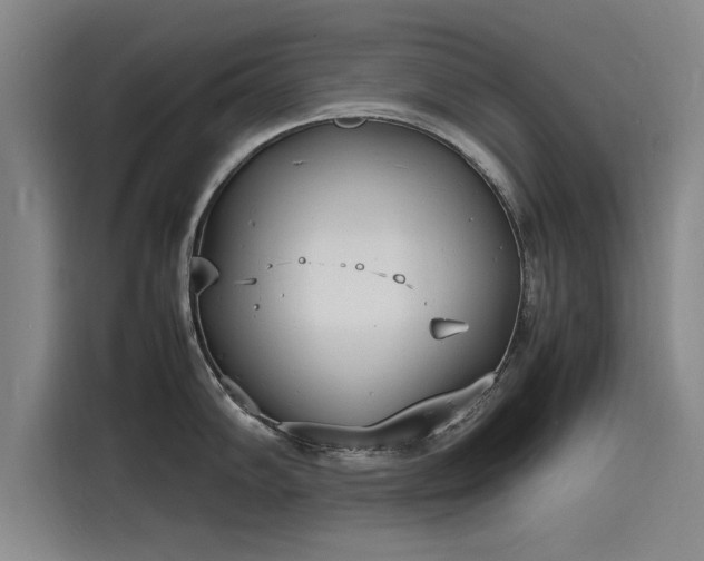 X0000116141102200911301516