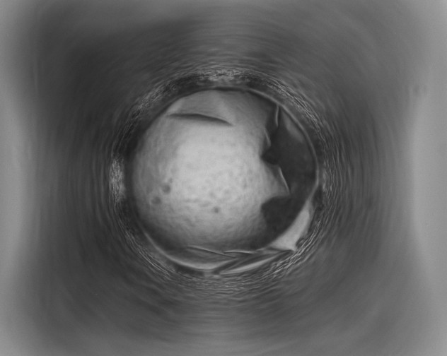 X0000116141106200911301515