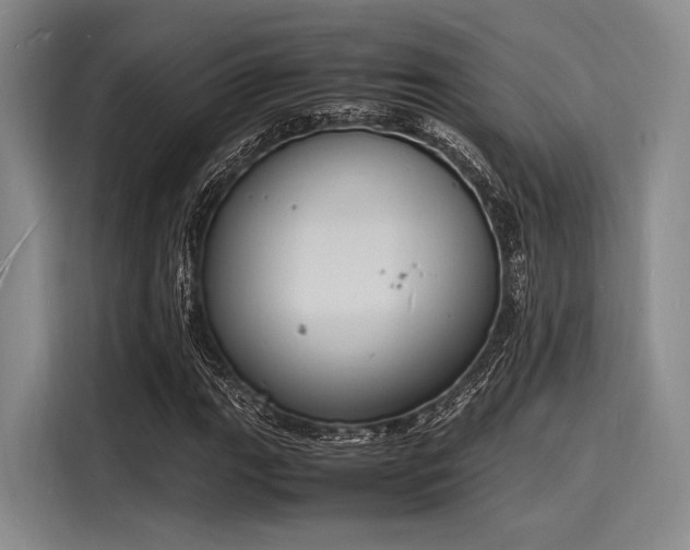 X0000116141111200911301515