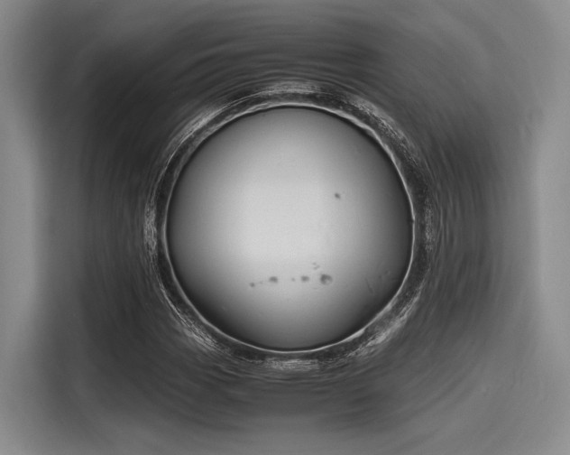 X0000116141113200911301515