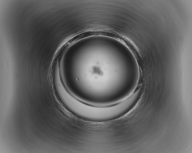 X0000116141114200911301515