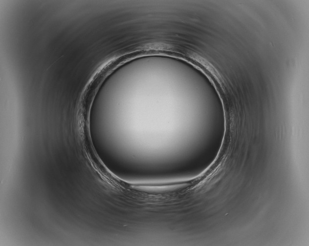 X0000116141115200911301515