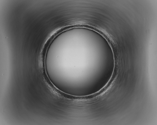 X0000116141118200911301515