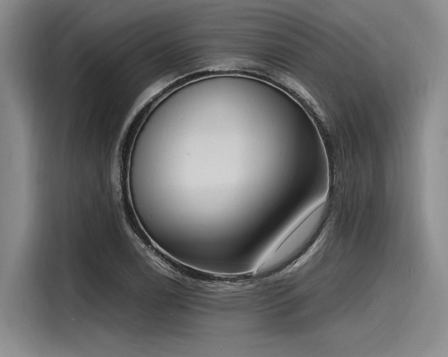 X0000116141122200911301515