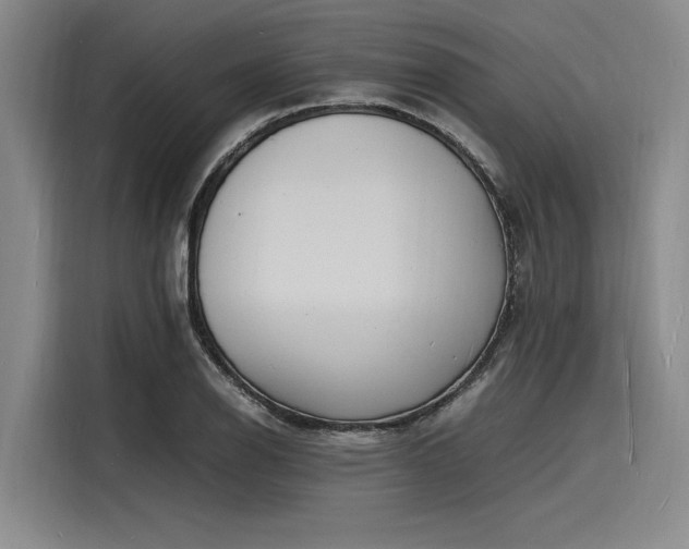 X0000116141126200911301515