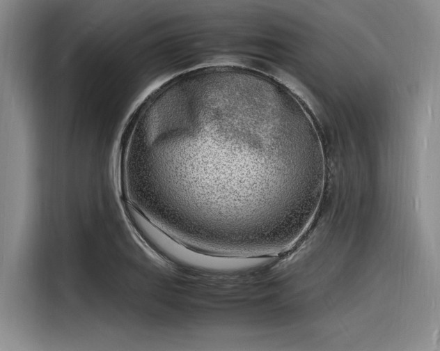 X0000116141127200911301515