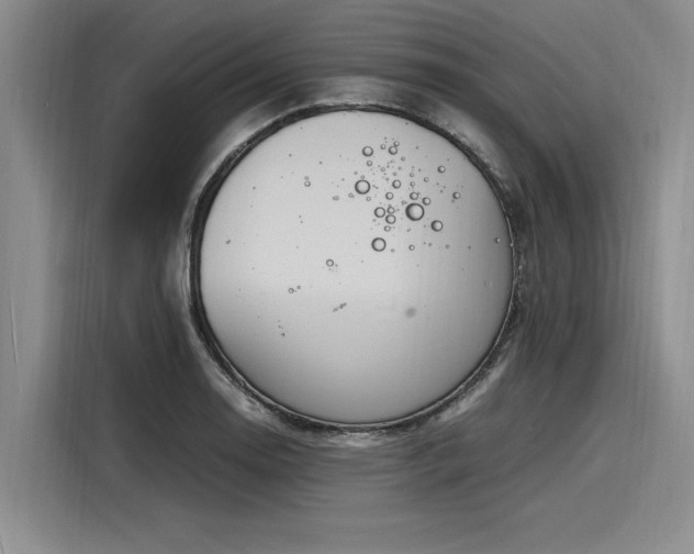 X0000116141130200911301515